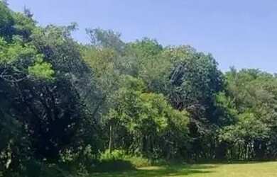 Imagem: O terreno possui 7.900m² de Área e está localizado em Centro