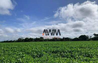 Imagem 5: Fazenda à venda, 98,65 alqueirespor R$ 13850000- Centro - Porangatu/GO