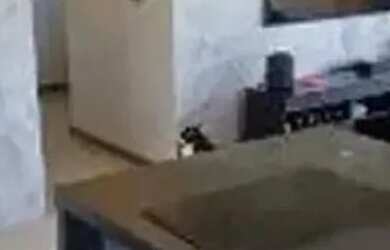 Imagem 6: APARTAMENTO - CIDADE JARDIM - SP