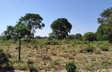 Imagem 15: Fazenda à venda de 497,00 Ha para Agricultura Irrigada Ibiaí - MG