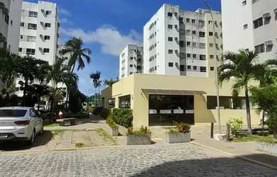 Imagem 15: Parque Janga - Vendo