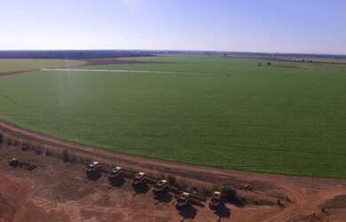 Imagem: A fazenda está localizado em Porangatu, GO à venda por R$100.000.000