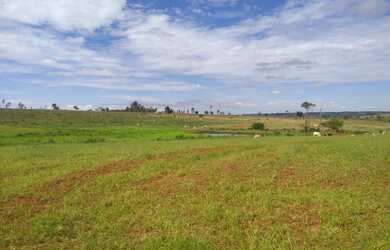 Imagem 11: Belíssima fazenda de 53 alqueires, região de Presidente Prudente terra...