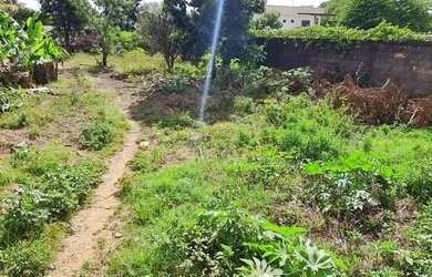 Imagem: O terreno possui 800m² de Área e está localizado em Setor