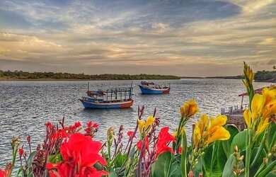 Imagem 11: Condomínio casa de praia Fortim Eco Vilas - Luxo , alto padrão e pé...