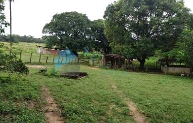 Imagem 11: Excelente área plana com 35.000 m² no Bairro Bandeirinhas em Betim