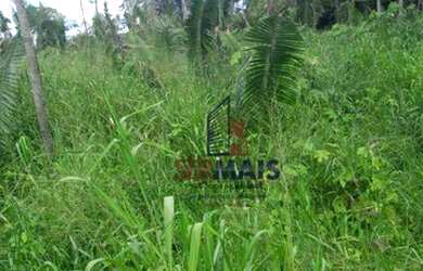 Imagem 8: Sítio à venda, 605000 m² por R$ 250.000,00 - Zona Rural - Humaita/AM