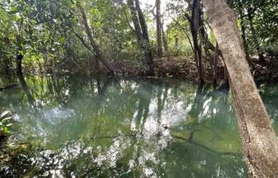 Imagem: A chácara possui 10.000m² de Área e está localizado em