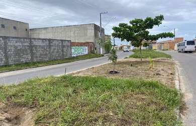 Imagem: O terreno está localizado em Albano Franco, Nossa Senhora do