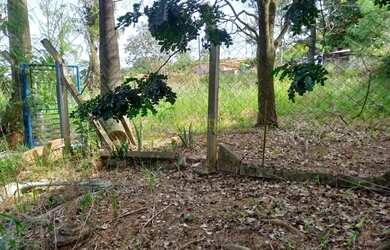 Imagem 7: Chácara - Área Rural de Artur Nogueira - Artur Nogueira