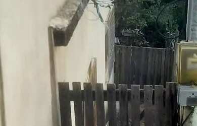 Imagem 4: Casa. 300m² de Área, 2 Banheirose3 Dormitórios