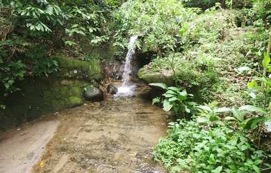 Imagem 4: Lote/Terreno para venda possui 1450 metros quadrados desmembravéi em Itanhangá - Rio de Ja