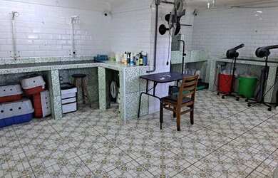 Imagem 13: Clinica veterinária pet ,Para locação jardim das flores