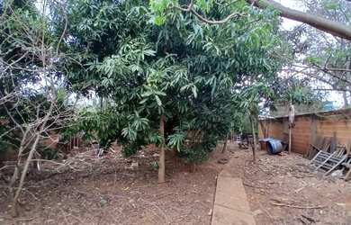 Imagem 8: Fazenda/Sítio/Chácara em Montes Claros à venda