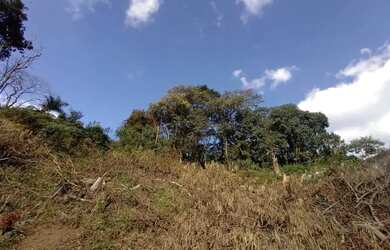 Imagem 3: Terreno à venda, 787 m² - Braunes - Nova Friburgo/RJ