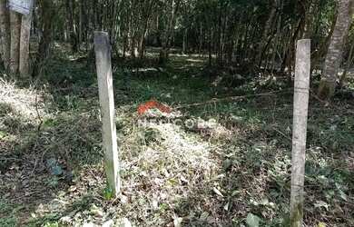 Imagem 5: Lote em condomínio em Estrada do Felipe - Chácara Rincão - Cotia/SP