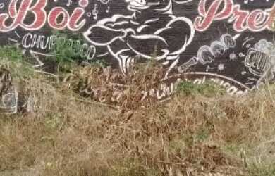 Imagem 3: Lote Plano e Murado - Augusta Mota / Major Prates - Montes Claros MG