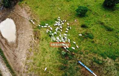 Imagem: A fazenda possui 500m² de Área e está localizado em Orizona