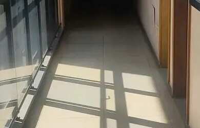 Imagem 2: Sala Comercial para alugar Cidade Jardim Belo Horizonte