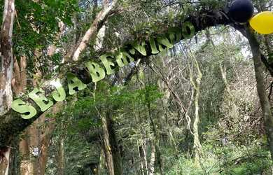 Imagem 7: Vende-se ou Aluga-se Chácara em São Marcos