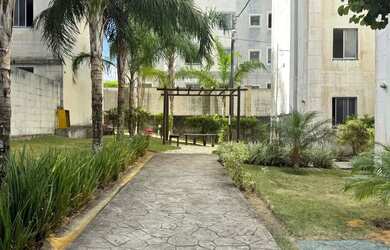 Imagem 10: 2 QUARTOS SANTA AMELIA REFORMADO