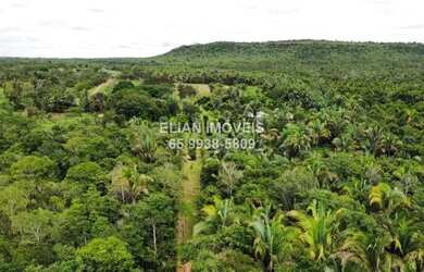 Imagem: A fazenda e possui Dormitórios, Suítes, Banheiros, 7-0m²