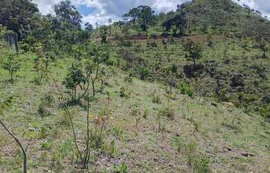 Imagem 10: A M IMOVEIS VENDE EXELENTE FAZENDA NA FERCAL COM 10 ALQUEIRES