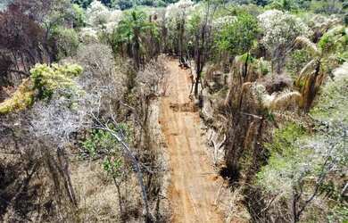 Imagem 14: L1- Os melhores lotes de toda a região so aqui, venha já