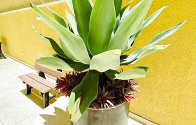 Imagem 2: Apartamento residencial à venda no Alvinópolis, Atibaia