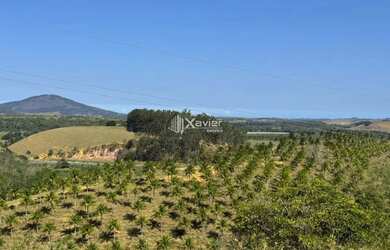 Imagem: O terreno possui 338.800m² de Área e está localizado em