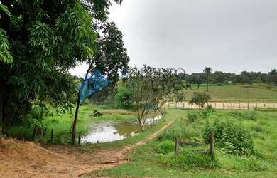 Imagem 5: Excelente área plana com 35.000 m² no Bairro Bandeirinhas em Betim