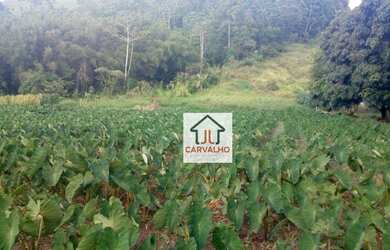 Imagem: O terreno possui 8.746m² de Área e está localizado em Centro