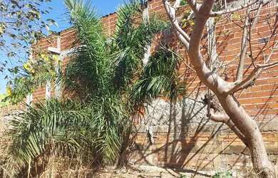 Imagem 6: Lote em goianira. 360m² de Área