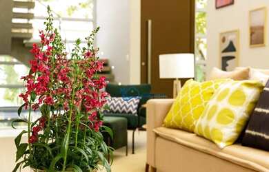 Imagem 3: Casa com 5 dormitórios, 583 m² - venda por R$ 7.000.000,00 ou aluguel...