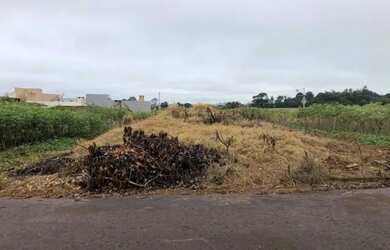 Imagem: Terreno no loteamento Cidades das Flores