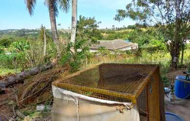 Imagem 10: Chácara - Área Rural de Artur Nogueira - Artur Nogueira