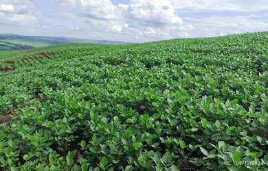 Imagem 7: Fazenda a venda. 57m² de Área