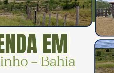 Imagem: A fazenda possui Imóvel novo e está localizado em Lajedinho