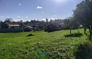 Imagem 15: Terreno a venda bairro Desvio Rizzo com 3.014m²