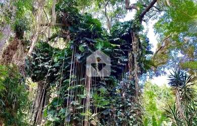 Imagem 11: Casa para venda com 6 quartos, 12336m² - Itaipava - Petrópolis/RJ