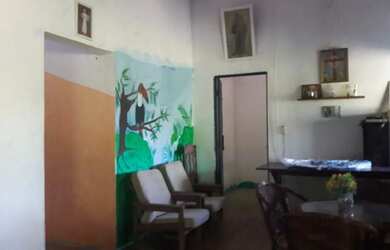 Imagem 4: Casa Grande com terreno e árvores frutíferas