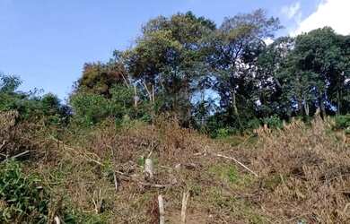 Imagem 7: Terreno à venda, 787 m² - Braunes - Nova Friburgo/RJ