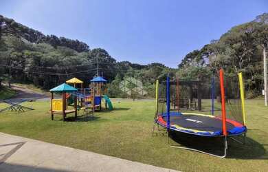 Imagem 15: Pinheiro Grosso. 734m² de Área