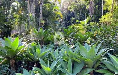 Imagem 10: Casa para venda com 6 quartos, 12336m² - Itaipava - Petrópolis/RJ