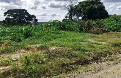 Imagem: Oportunidade chacara 10000 com documentaçao