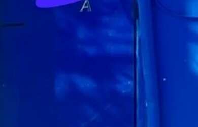 Imagem: A casa possui 2 Dormitórios e 3 Banheiros e está localizado