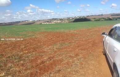 Imagem: O terreno possui 1.000m² de Área e está localizado em Centro