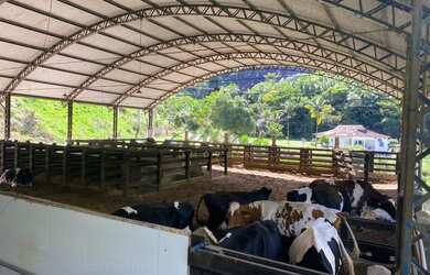 Imagem: A fazenda possui 300000m² de Área e está localizado em Aracê