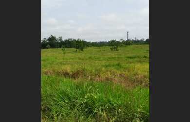 Imagem: A fazenda está localizado em Rorainópolis, RR à venda por