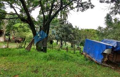 Imagem 7: Excelente área plana com 35.000 m² no Bairro Bandeirinhas em Betim